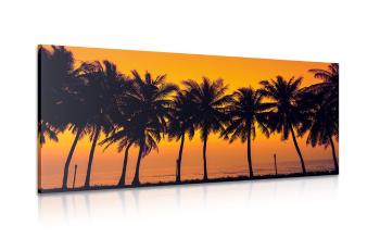 Obraz zachód słońca nad palmami - 120x60