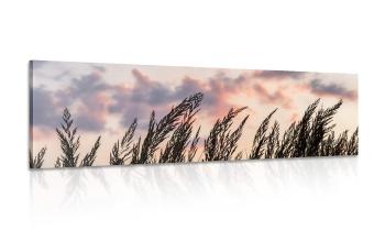 Obraz kłody długiej trawy - 135x45