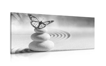 Obraz równowaga kamieni i motyl w wersji czarno-białej - 100x50