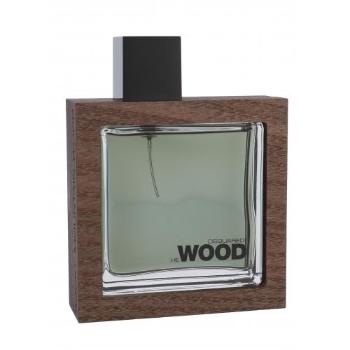 Dsquared2 He Wood Rocky Mountain Wood 100 ml woda toaletowa dla mężczyzn