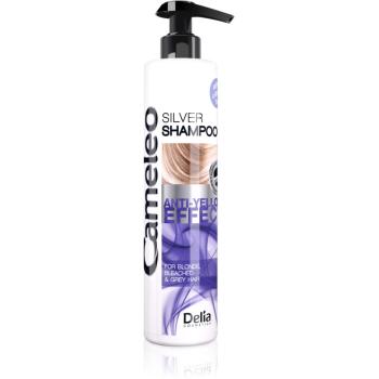 Delia Cosmetics Cameleo Silver szampon neutralizująca żółtawe odcienie 250 ml