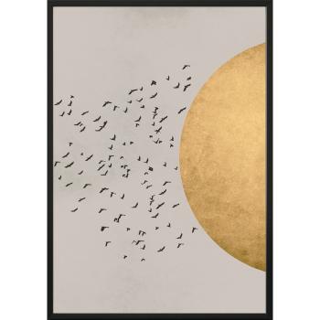 Plakat w ramie BIRDS/SILHOUTTE, 40x50 cm