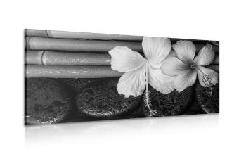 Obraz martwa natura wellness w wersji czarno-białej - 120x60