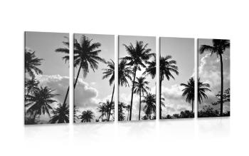5-częściowy obraz palmy kokosowe na plaży w wersji czarno-białej - 200x100