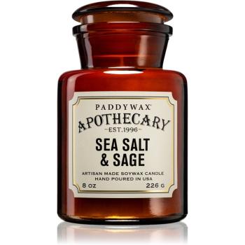 Paddywax Apothecary Sea Salt & Sage świeczka zapachowa 226 g