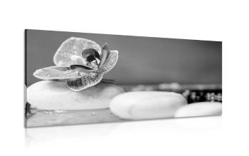 Obraz kamienie Zen i orchidea w wersji czarno-białej - 100x50