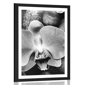 Plakat z passe-partout cudowna orchidea i kamienie w czerni i bieli - 40x60 black