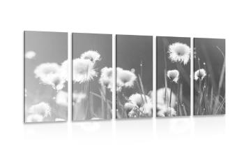 5-częściowy obraz trawa bawełniana w wersji czarno-białej