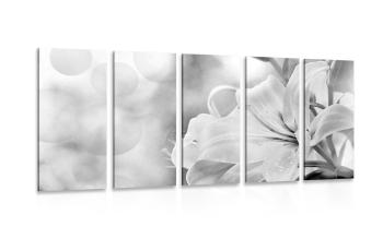 5-częściowy obraz biały kwiat lilii na abstrakcyjnym tle w czarnobiałym kolorze - 100x50