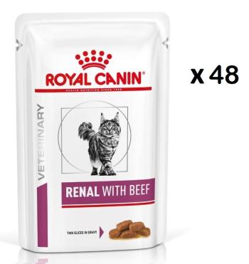 ROYAL CANIN Renal Feline wołowina 48 x 85 g karma mokra dla kotów z przewlekłą niewydolnością nerek