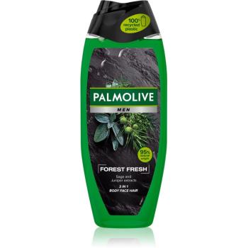 Palmolive Men Forest Fresh odświeżający żel pod prysznic dla mężczyzn 500 ml