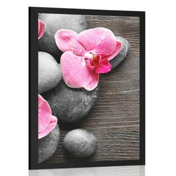 Plakat elegancka kompozycja z kwiatami orchidei - 60x90 black