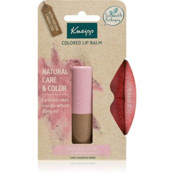 Kneipp Natural Care & Color tonujący balsam do ust odcień Natural Rosé 3,5 g