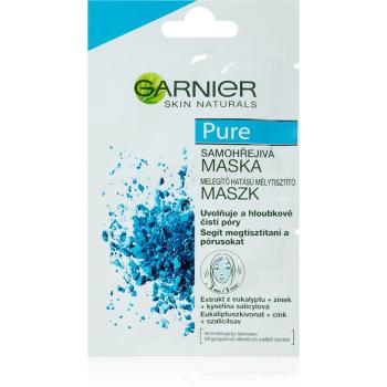 Garnier Pure maseczka do twarzy do skóry z problemami 2x6 ml