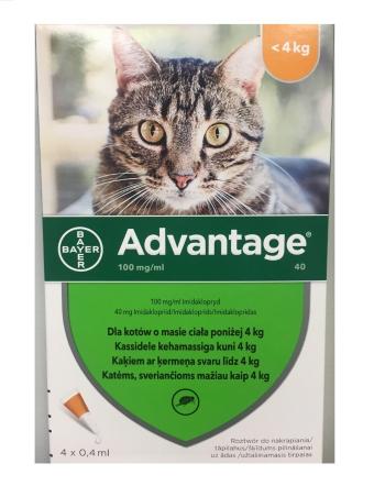 BAYER ADVANTAGE Roztwór do nakrapiania dla kotów do 4 kg (4 x 0,4 ml)