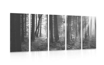 5-częściowy obraz las skąpany w słońcu w wersji czarno-białej - 100x50