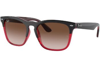 Ray-Ban Steve RB4487 663113 ONE SIZE (54)