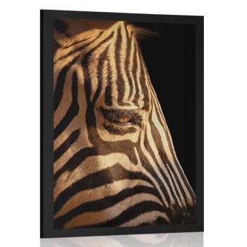 Plakat portret zebry - 30x45 black