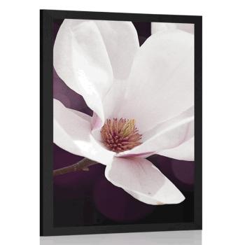 Plakat kwiat magnolii na abstrakcyjnym tle - 60x90 white