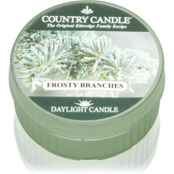 Country Candle Frosty Branches świeczka typu tealight 42 g