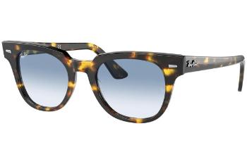Ray-Ban Meteor RB2168 13323F ONE SIZE (50)