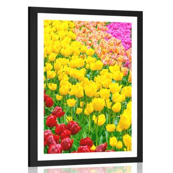 Plakat z passe-partout ogród pełen tulipanów - 30x45 silver