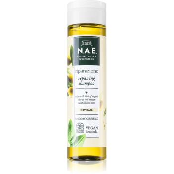 N.A.E. Riparazione szampon regenerujący do włosów suchych 250 ml