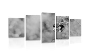 5-częściowy obraz kwiaty w wersji czarno-białej - 200x100
