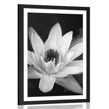 Plakat z passe-partout czarno-biała lilia wodna