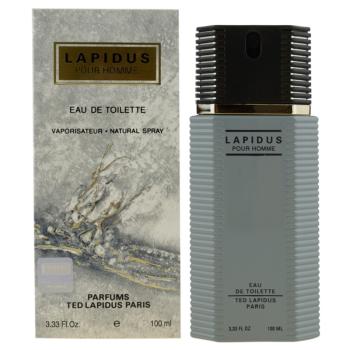 Ted Lapidus Lapidus Pour Homme woda toaletowa dla mężczyzn 100 ml