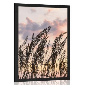Plakat trawa o zachodzie słońca - 60x90 black