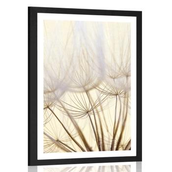 Plakat z passe-partout nasiona dmuchawca - 60x90 white