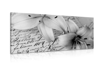 Obraz lilia na starym dokumencie w wersji czarno-białej - 100x50