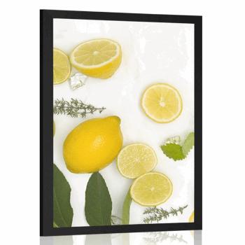 Plakat mieszanka owoców cytrusowych - 60x90 silver