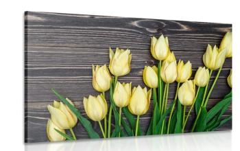Obraz urocze żółte tulipany na drewnianym tle - 120x80