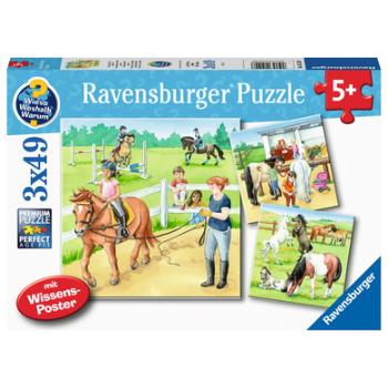 Ravensburger Puzzle 3 x 49 WWW: Hodowla koni