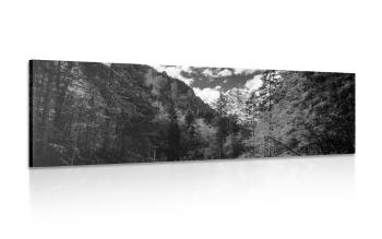 Obraz czarno-biały krajobraz górski - 150x50