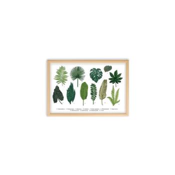 Obraz w ramie z drewna sosnowego Surdic Leafes Guide, 50x70 cm