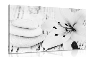Obraz lilia i kamienie do masażu w wersji czarno-białej