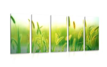 5-częściowy obraz źdźbła trawy w kolorze zielonym - 100x50