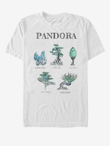 ZOOT.Fan Pandora Avatar Twentieth Century Fox Koszulka Biały
