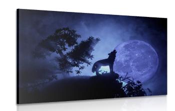 Obraz wilk w pełni księżyca - 90x60