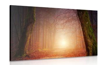 Obraz las w bajkowych kolorach - 120x80