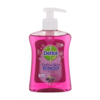 Dettol Soft On Skin Forest Berries 250 ml mydło w płynie unisex