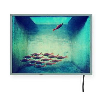Świecąca dekoracja ścienna Surdic Free Fish, 40x30 cm