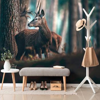 Samoprzylepna fototapeta jeleń w sosnowym lesie - 150x100