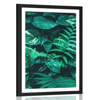 Plakat z passe-partout świeże tropikalne liście - 40x60 white