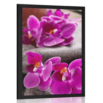 Plakat piękna orchidea i kamienie Zen - 20x30 white