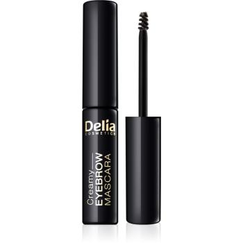 Delia Cosmetics Eyebrow Expert tusz do brwi odcień Graphite 4 ml