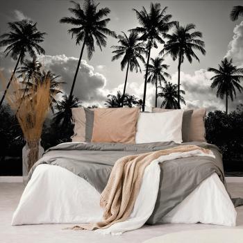 Samoprzylepna tapeta palmy kokosowe na plaży w czerni i bieli - 300x200